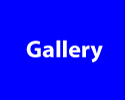 Image Gallery